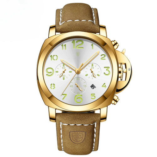 Legacy Luminous Watch